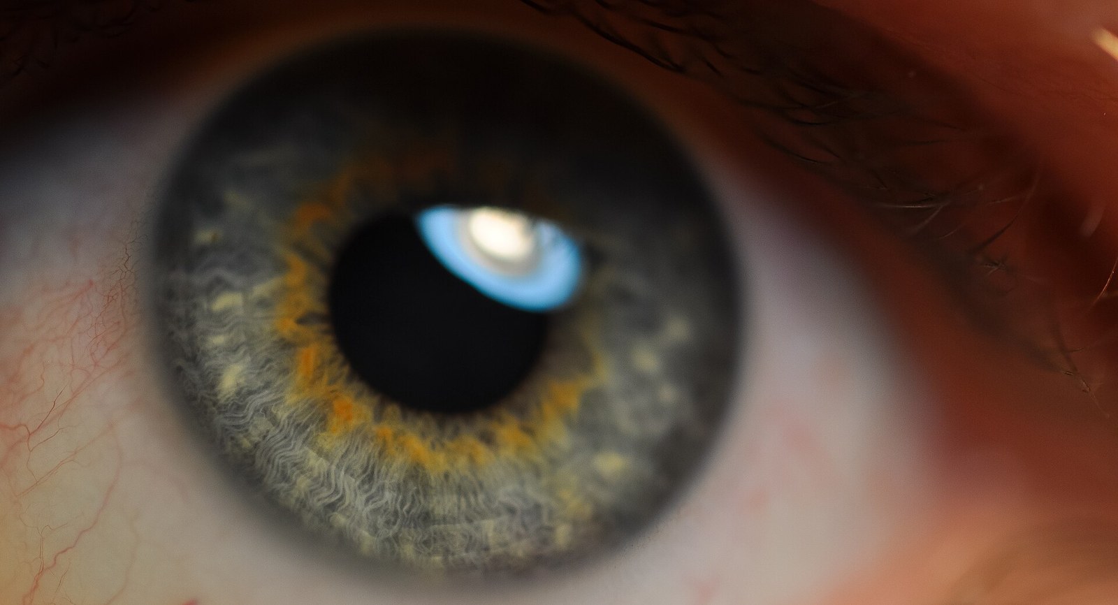 Detalle del iris humano. Imagen de contexto sobre identificación biométrica.